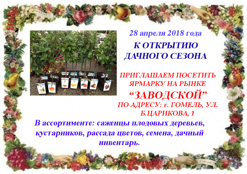 Саженцы