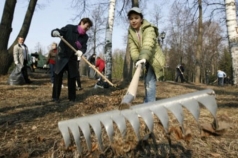 Акция по благоустройству и озеленению